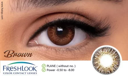 Freshlook Brown