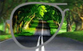 POLARIZED