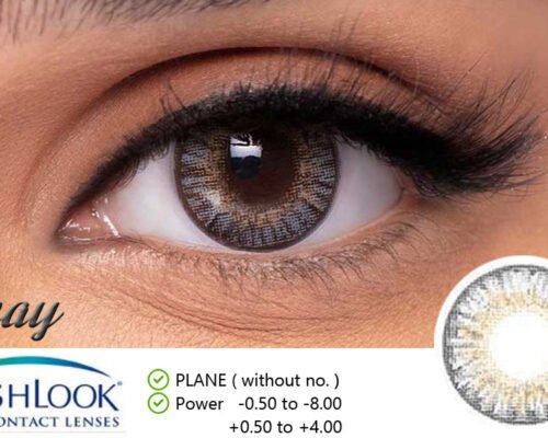 Freshlook gray