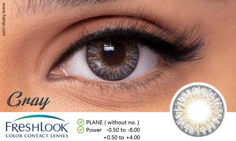 Freshlook gray