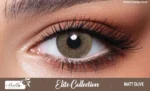 Bella Elite Collection MATT OLIVE