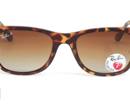 Rayban RB 4195 Women