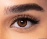 FRESHLOOK BROWN