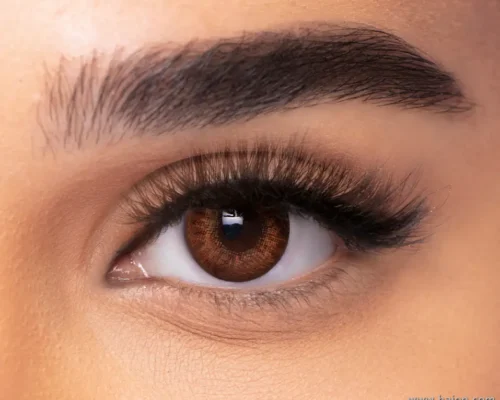 FRESHLOOK BROWN