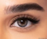 FRESHLOOK GRAY