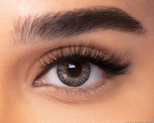 FRESHLOOK GRAY