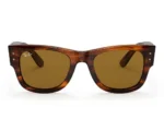 Mega Wayfarer