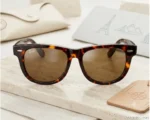 Wayfarer
